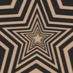 Meet your Posher, Reagan